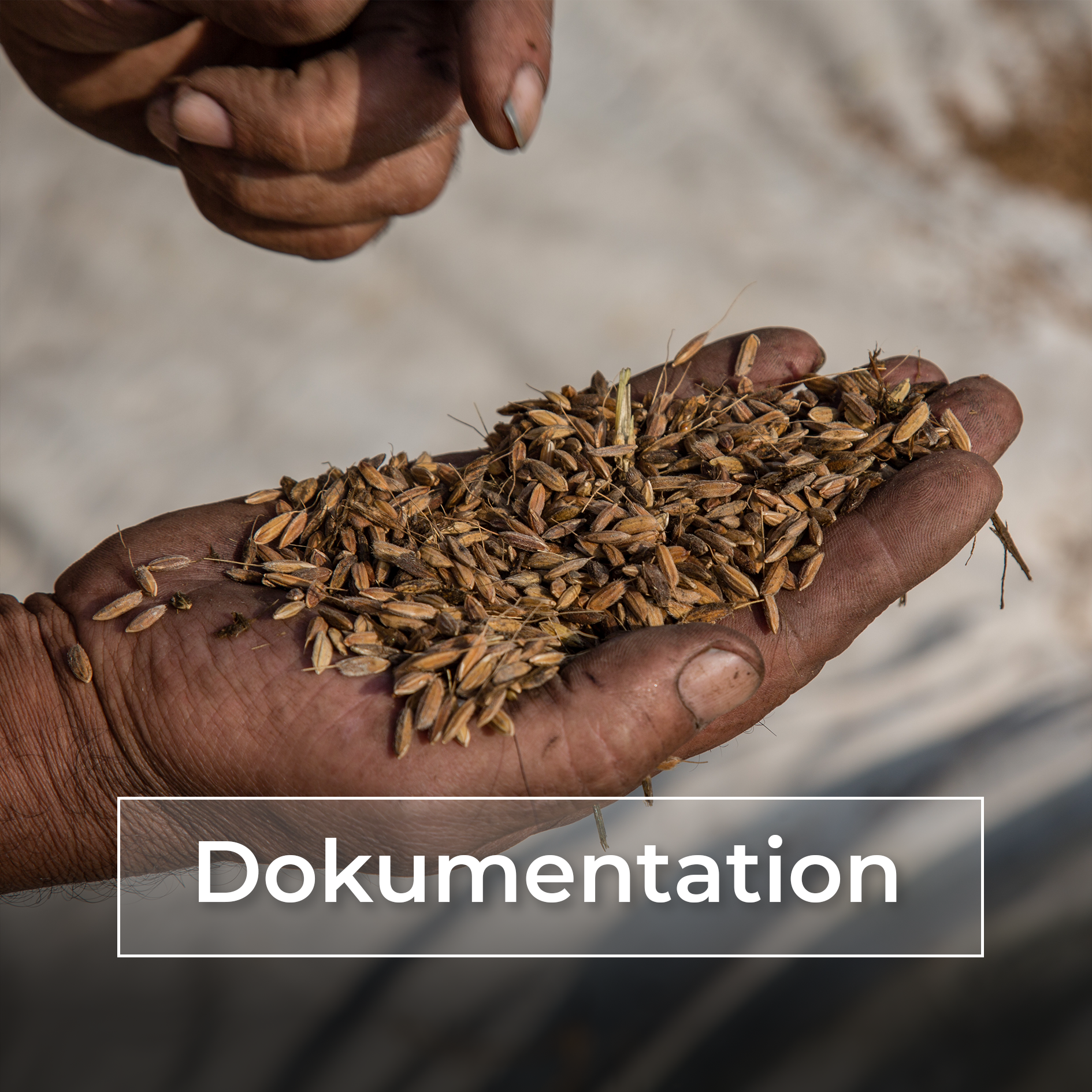 Dokumentation Titelbild Mobile (1)