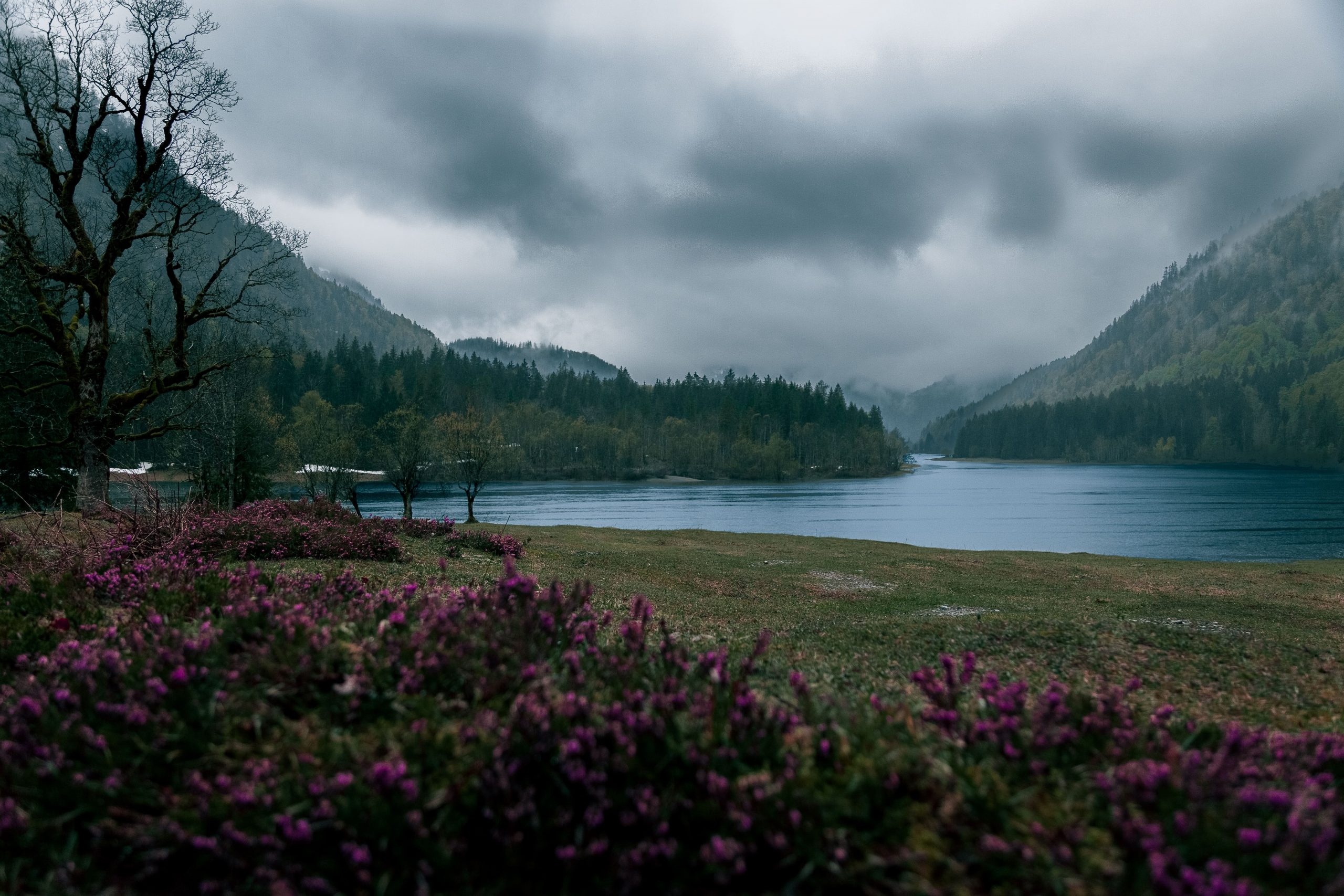 Titelbild Landschaft