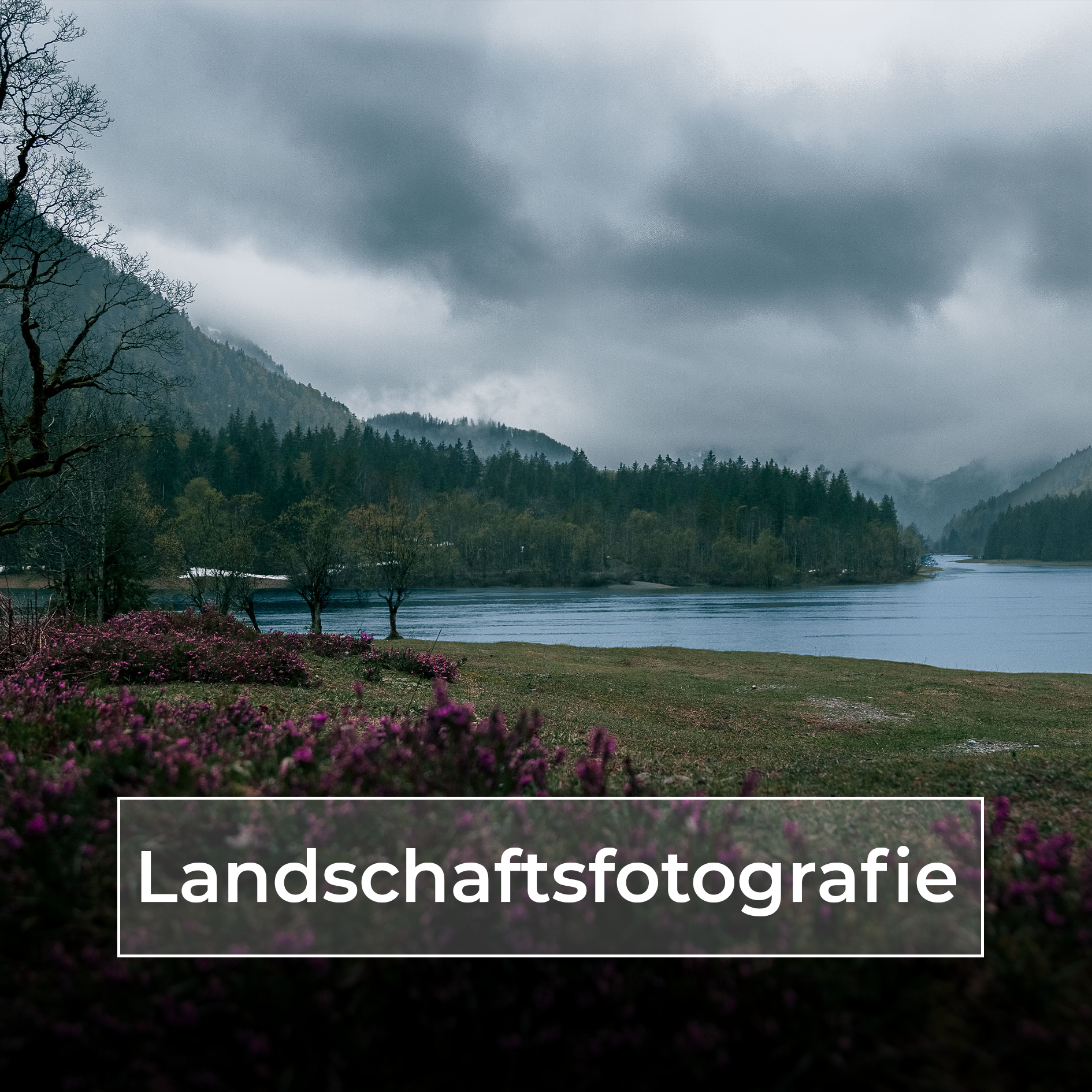 Titelbild Landschaft Mobile